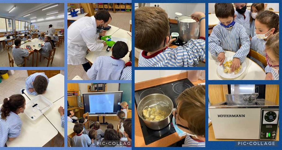 <time datetime="2021-11-22T16:33:03+00:00">22 de noviembre de 2021</time> | <a href="https://www.escola-horitzo.cat/author/kike/">Super User</a> | <a href="https://www.escola-horitzo.cat/category/el-dia-a-dia/" rel="tag">El dia a dia</a> | <a href="https://www.escola-horitzo.cat/2021/11/22/els-bacteris-son-bons/#respond">No hay comentarios<span class="screen-reader-text"> en Els bacteris són bons?</span></a>