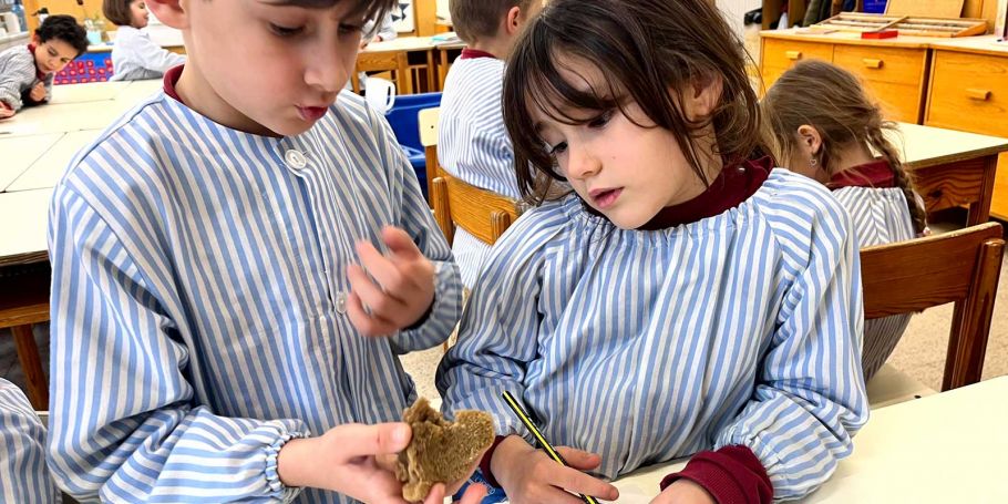 <time datetime="2024-01-22T16:18:00+00:00">22 de enero de 2024</time> | <a href="https://www.escola-horitzo.cat/author/kike/">Super User</a> | <a href="https://www.escola-horitzo.cat/category/el-dia-a-dia/" rel="tag">El dia a dia</a>