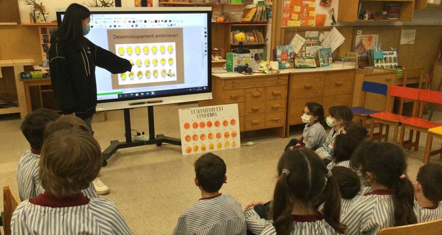 <time datetime="2021-04-22T07:38:40+00:00">22 de abril de 2021</time> | <a href="https://www.escola-horitzo.cat/author/kike/">Super User</a> | <a href="https://www.escola-horitzo.cat/category/el-dia-a-dia/" rel="tag">El dia a dia</a> | <a href="https://www.escola-horitzo.cat/2021/04/22/hem-tingut-molta-sort/#respond">No hay comentarios<span class="screen-reader-text"> en Hem tingut molta sort!</span></a>