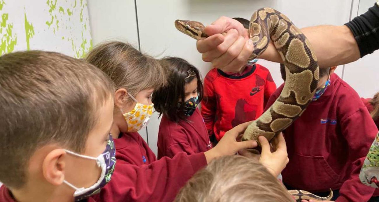 Per aprendre res millor que observar la realitat: Les serps