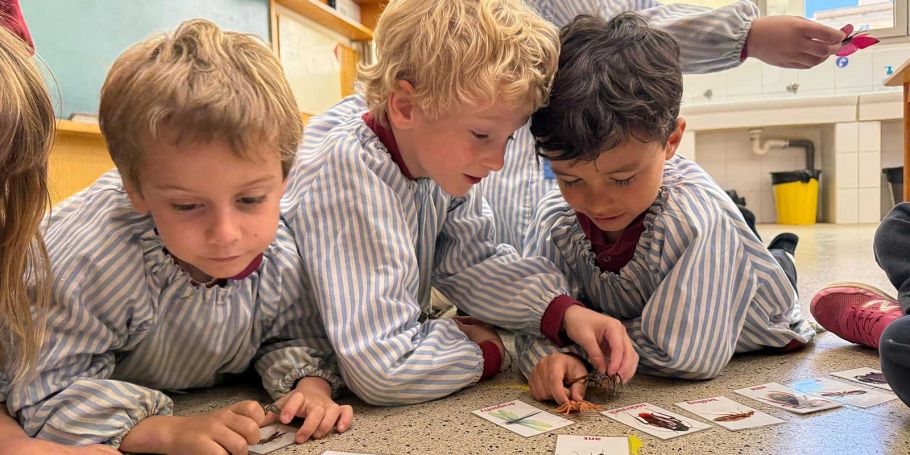 <time datetime="2025-05-14T05:26:47+00:00">14 de mayo de 2025</time> | <a href="https://www.escola-horitzo.cat/author/kike/">Super User</a> | <a href="https://www.escola-horitzo.cat/category/el-dia-a-dia/" rel="tag">El dia a dia</a>