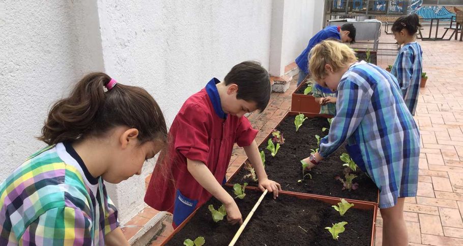 <time datetime="2018-05-27T16:20:21+00:00">27 de mayo de 2018</time> | <a href="https://www.escola-horitzo.cat/author/kike/">Super User</a> | <a href="https://www.escola-horitzo.cat/category/el-dia-a-dia/" rel="tag">El dia a dia</a> | <a href="https://www.escola-horitzo.cat/2018/05/27/cultius-de-primavera/#respond">No hay comentarios<span class="screen-reader-text"> en Cultius de primavera</span></a>