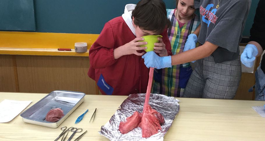 <time datetime="2019-05-15T14:18:46+00:00">15 de mayo de 2019</time> | <a href="https://www.escola-horitzo.cat/author/kike/">Super User</a> | <a href="https://www.escola-horitzo.cat/category/el-dia-a-dia/" rel="tag">El dia a dia</a> | <a href="https://www.escola-horitzo.cat/2019/05/15/cor-i-pulmo/#respond">No hay comentarios<span class="screen-reader-text"> en Cor i pulmó</span></a>