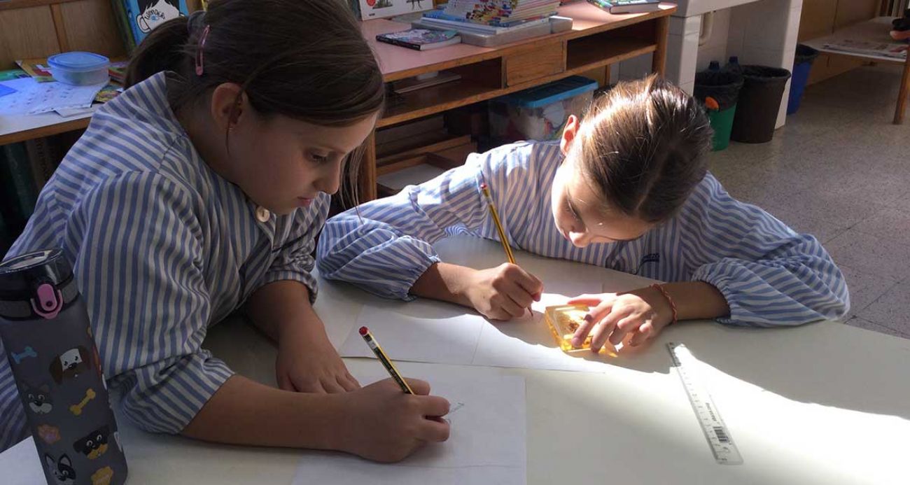 El dibuix científic