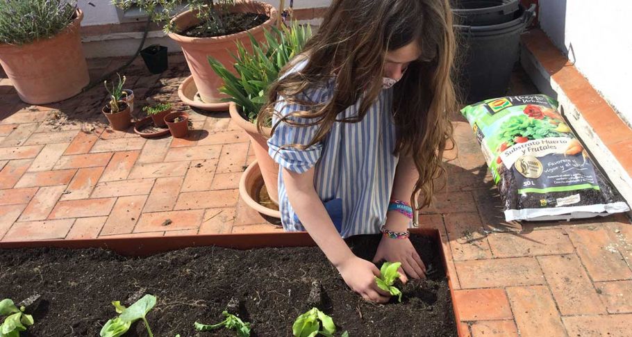 <time datetime="2021-05-05T08:18:20+00:00">5 de mayo de 2021</time> | <a href="https://www.escola-horitzo.cat/author/kike/">Super User</a> | <a href="https://www.escola-horitzo.cat/category/el-dia-a-dia/" rel="tag">El dia a dia</a> | <a href="https://www.escola-horitzo.cat/2021/05/05/cultiu-primavera-estiu/#respond">No hay comentarios<span class="screen-reader-text"> en Cultiu primavera-estiu</span></a>