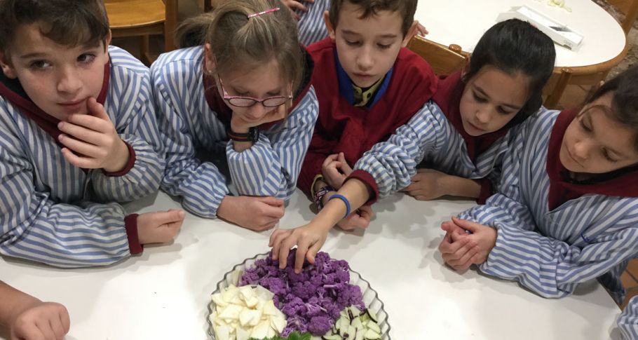 <time datetime="2019-01-30T18:40:08+00:00">30 de enero de 2019</time> | <a href="https://www.escola-horitzo.cat/author/kike/">Super User</a> | <a href="https://www.escola-horitzo.cat/category/el-dia-a-dia/" rel="tag">El dia a dia</a> | <a href="https://www.escola-horitzo.cat/2019/01/30/de-lhort-a-la-taula/#respond">No hay comentarios<span class="screen-reader-text"> en De l’hort a la taula</span></a>