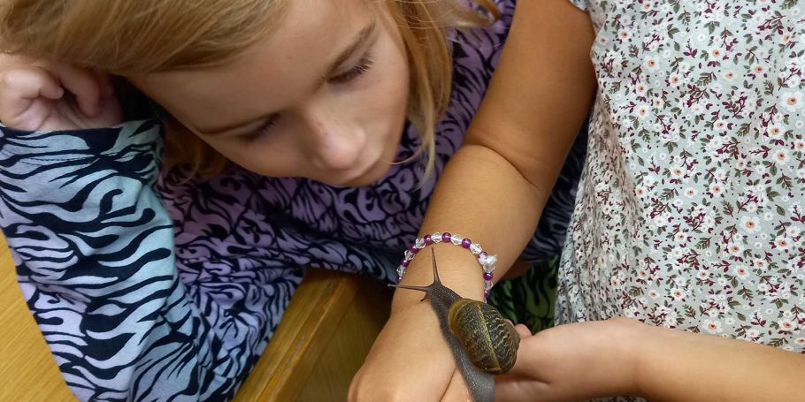 <time datetime="2023-09-22T08:50:31+00:00">22 de septiembre de 2023</time> | <a href="https://www.escola-horitzo.cat/author/kike/">Super User</a> | <a href="https://www.escola-horitzo.cat/category/el-dia-a-dia/" rel="tag">El dia a dia</a> | <a href="https://www.escola-horitzo.cat/2023/09/22/cargol-o-caragol/#respond">No hay comentarios<span class="screen-reader-text"> en Cargol o caragol?</span></a>