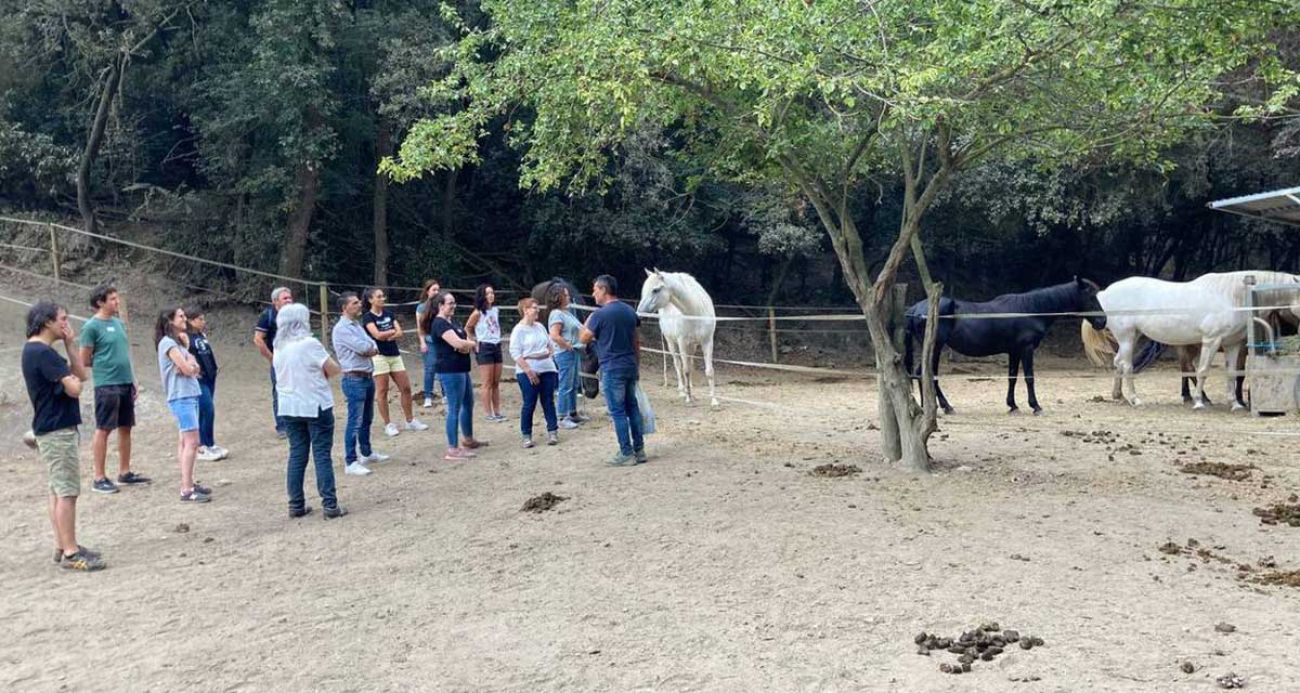 Work-shop de lideratge