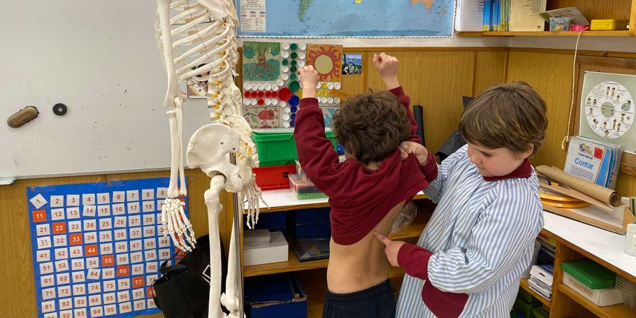 <time datetime="2023-03-24T10:34:37+00:00">24 de marzo de 2023</time> | <a href="https://www.escola-horitzo.cat/author/kike/">Super User</a> | <a href="https://www.escola-horitzo.cat/category/el-dia-a-dia/" rel="tag">El dia a dia</a> | <a href="https://www.escola-horitzo.cat/2023/03/24/tenen-esquelet/#respond">No hay comentarios<span class="screen-reader-text"> en Tenen esquelet?</span></a>