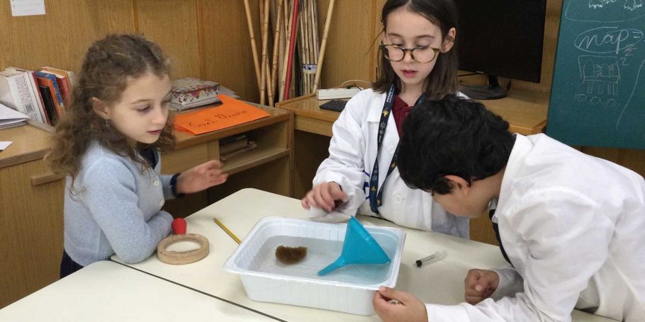 <time datetime="2024-01-30T17:42:05+00:00">30 de enero de 2024</time> | <a href="https://www.escola-horitzo.cat/author/kike/">Super User</a> | <a href="https://www.escola-horitzo.cat/category/el-dia-a-dia/" rel="tag">El dia a dia</a> | <a href="https://www.escola-horitzo.cat/2024/01/30/les-esponges-marines/#respond">No hay comentarios<span class="screen-reader-text"> en Les esponges marines</span></a>