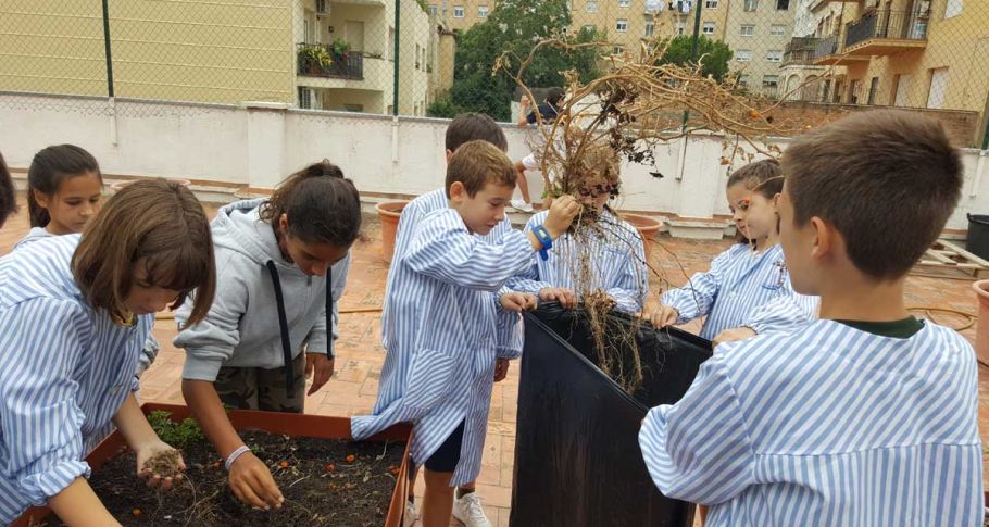 <time datetime="2019-09-13T14:52:33+00:00">13 de septiembre de 2019</time> | <a href="https://www.escola-horitzo.cat/author/kike/">Super User</a> | <a href="https://www.escola-horitzo.cat/category/el-dia-a-dia/" rel="tag">El dia a dia</a> | <a href="https://www.escola-horitzo.cat/2019/09/13/els-primers-dies-descola/#respond">No hay comentarios<span class="screen-reader-text"> en Els primers dies d’Escola</span></a>