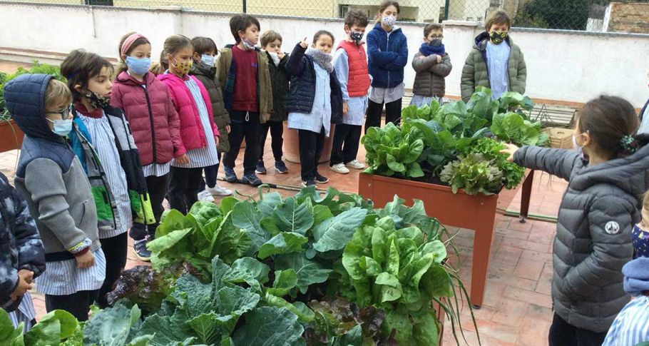 <time datetime="2021-12-20T11:28:21+00:00">20 de diciembre de 2021</time> | <a href="https://www.escola-horitzo.cat/author/kike/">Super User</a> | <a href="https://www.escola-horitzo.cat/category/el-dia-a-dia/" rel="tag">El dia a dia</a> | <a href="https://www.escola-horitzo.cat/2021/12/20/1a-collita-del-curs/#respond">No hay comentarios<span class="screen-reader-text"> en 1a collita del curs</span></a>