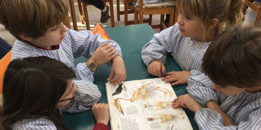 <time datetime="2025-12-10T11:06:49+00:00">10 de diciembre de 2025</time> | <a href="https://www.escola-horitzo.cat/author/kike/">Super User</a> | <a href="https://www.escola-horitzo.cat/category/el-dia-a-dia/" rel="tag">El dia a dia</a>