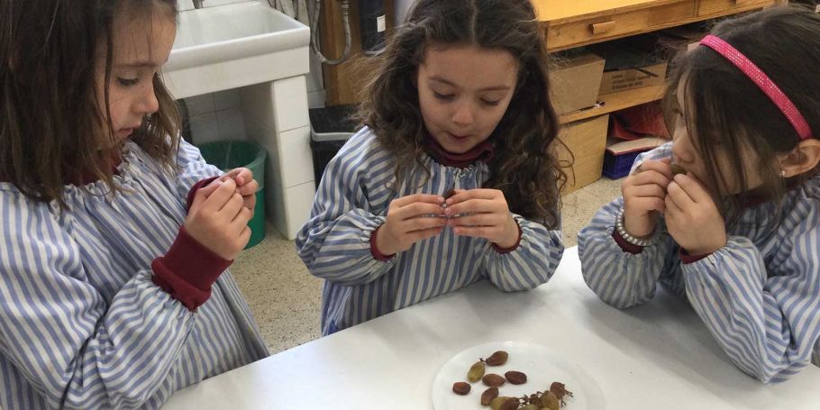 <time datetime="2023-03-02T12:13:25+00:00">2 de marzo de 2023</time> | <a href="https://www.escola-horitzo.cat/author/kike/">Super User</a> | <a href="https://www.escola-horitzo.cat/category/el-dia-a-dia/" rel="tag">El dia a dia</a> | <a href="https://www.escola-horitzo.cat/2023/03/02/fer-se-preguntes/#respond">No hay comentarios<span class="screen-reader-text"> en Fer-se preguntes</span></a>