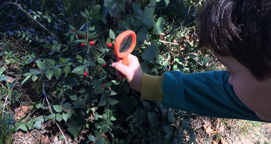 <time datetime="2018-03-15T08:55:28+00:00">15 de marzo de 2018</time> | <a href="https://www.escola-horitzo.cat/author/kike/">Super User</a> | <a href="https://www.escola-horitzo.cat/category/el-dia-a-dia/" rel="tag">El dia a dia</a> | <a href="https://www.escola-horitzo.cat/2018/03/15/hem-treballat-diverses-especies-botaniques-al-voltant-de-la-riera-de-masrocsvoltant/#respond">No hay comentarios<span class="screen-reader-text"> en Hem treballat diverses espècies botàniques al voltant de la riera de Masrocsvoltant</span></a>