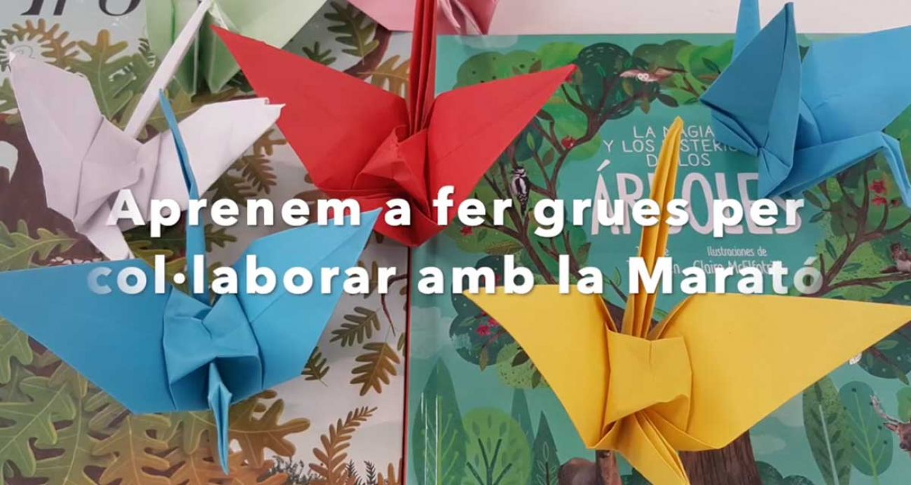 Sempre és temps de solidaritat. La Marató TV3