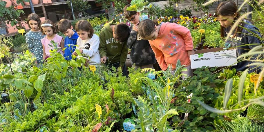 <time datetime="2025-11-11T17:56:28+00:00">11 de noviembre de 2025</time> | <a href="https://www.escola-horitzo.cat/author/kike/">Super User</a> | <a href="https://www.escola-horitzo.cat/category/el-dia-a-dia/" rel="tag">El dia a dia</a>