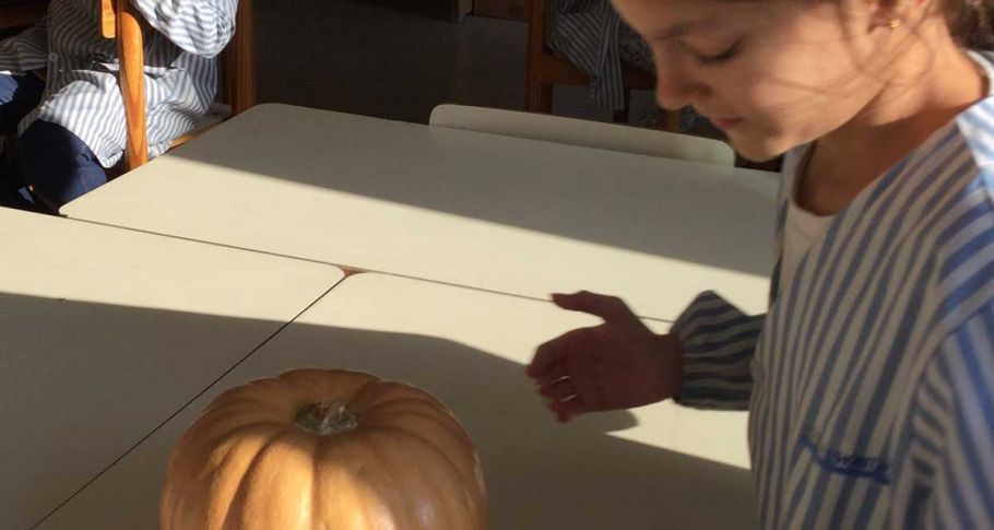 <time datetime="2019-11-20T15:00:11+00:00">20 de noviembre de 2019</time> | <a href="https://www.escola-horitzo.cat/author/kike/">Super User</a> | <a href="https://www.escola-horitzo.cat/category/el-dia-a-dia/" rel="tag">El dia a dia</a> | <a href="https://www.escola-horitzo.cat/2019/11/20/les-matematiques-a-la-cuina/#respond">No hay comentarios<span class="screen-reader-text"> en Les matemàtiques a la cuina</span></a>