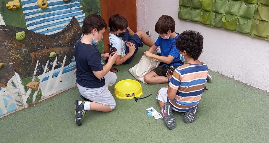 <time datetime="2021-09-17T15:15:40+00:00">17 de septiembre de 2021</time> | <a href="https://www.escola-horitzo.cat/author/kike/">Super User</a> | <a href="https://www.escola-horitzo.cat/category/el-dia-a-dia/" rel="tag">El dia a dia</a> | <a href="https://www.escola-horitzo.cat/2021/09/17/oportunitats-d-aprenentatge/#respond">No hay comentarios<span class="screen-reader-text"> en Oportunitats d’aprenentatge</span></a>