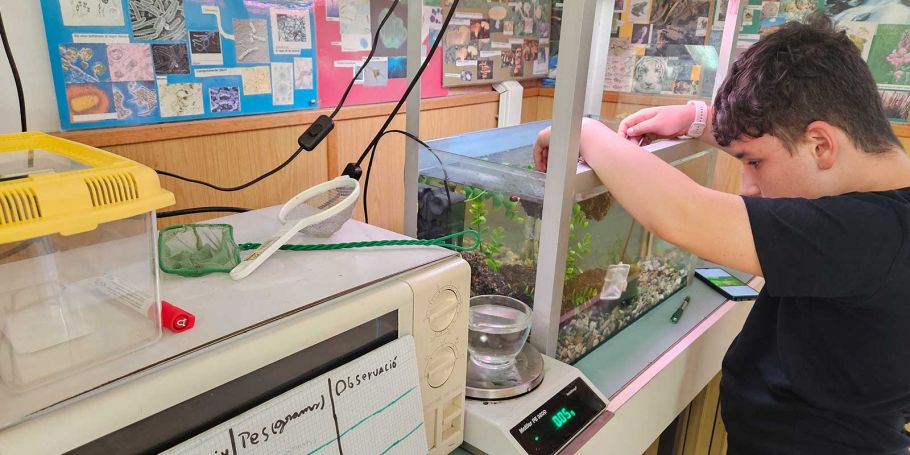 <time datetime="2024-10-22T15:27:42+00:00">22 de octubre de 2024</time> | <a href="https://www.escola-horitzo.cat/author/kike/">Super User</a> | <a href="https://www.escola-horitzo.cat/category/el-dia-a-dia/" rel="tag">El dia a dia</a> | <a href="https://www.escola-horitzo.cat/2024/10/22/els-projectes-de-recerca-autonoms-pr/#respond">No hay comentarios<span class="screen-reader-text"> en Els Projectes de Recerca Autònoms (@PR)</span></a>