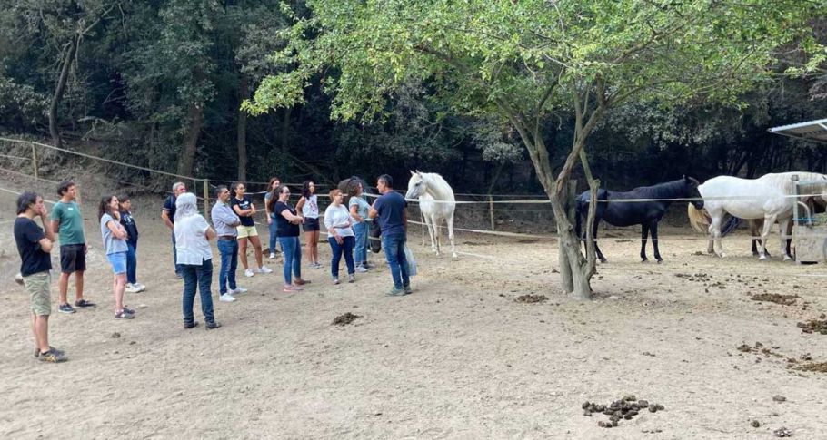 <time datetime="2021-06-30T14:40:25+00:00">30 de junio de 2021</time> | <a href="https://www.escola-horitzo.cat/author/kike/">Super User</a> | <a href="https://www.escola-horitzo.cat/category/el-dia-a-dia/" rel="tag">El dia a dia</a> | <a href="https://www.escola-horitzo.cat/2021/06/30/work-shop-de-lideratge/#respond">No hay comentarios<span class="screen-reader-text"> en Work-shop de lideratge</span></a>