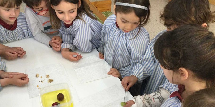 <time datetime="2023-05-17T16:07:35+00:00">17 de mayo de 2023</time> | <a href="https://www.escola-horitzo.cat/author/kike/">Super User</a> | <a href="https://www.escola-horitzo.cat/category/el-dia-a-dia/" rel="tag">El dia a dia</a> | <a href="https://www.escola-horitzo.cat/2023/05/17/the-tiny-seed/#respond">No hay comentarios<span class="screen-reader-text"> en The Tiny Seed</span></a>