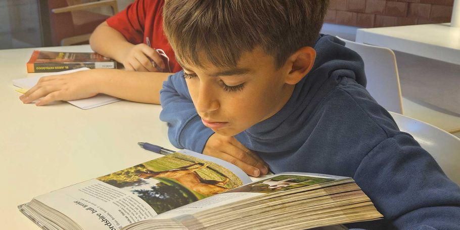 <time datetime="2025-12-10T15:48:26+00:00">10 de diciembre de 2025</time> | <a href="https://www.escola-horitzo.cat/author/kike/">Super User</a> | <a href="https://www.escola-horitzo.cat/category/el-dia-a-dia/" rel="tag">El dia a dia</a>