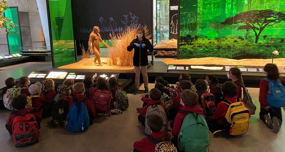 <time datetime="2021-05-18T14:30:56+00:00">18 de mayo de 2021</time> | <a href="https://www.escola-horitzo.cat/author/kike/">Super User</a> | <a href="https://www.escola-horitzo.cat/category/el-dia-a-dia/" rel="tag">El dia a dia</a> | <a href="https://www.escola-horitzo.cat/2021/05/18/per-que-no-cauen-els-planetes/#respond">No hay comentarios<span class="screen-reader-text"> en Per què no cauen els planetes</span></a>