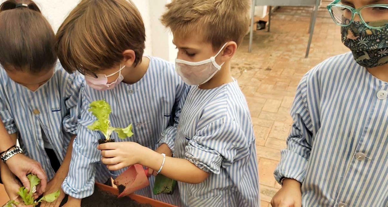 Comencem a donar vida al nostre hort!