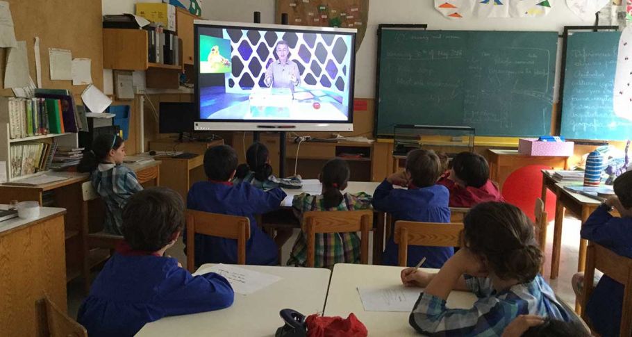 <time datetime="2018-06-12T14:42:40+00:00">12 de junio de 2018</time> | <a href="https://www.escola-horitzo.cat/author/kike/">Super User</a> | <a href="https://www.escola-horitzo.cat/category/el-dia-a-dia/" rel="tag">El dia a dia</a> | <a href="https://www.escola-horitzo.cat/2018/06/12/salvar-la-granota-reineta-d-ulls-vermells/#respond">No hay comentarios<span class="screen-reader-text"> en Salvar la Granota Reineta d’ulls vermells</span></a>