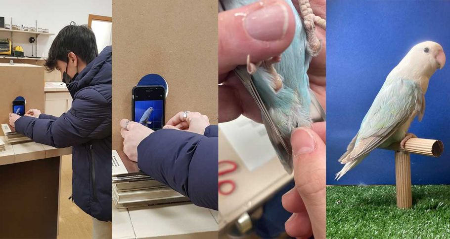 <time datetime="2022-03-09T10:34:20+00:00">9 de marzo de 2022</time> | <a href="https://www.escola-horitzo.cat/author/kike/">Super User</a> | <a href="https://www.escola-horitzo.cat/category/el-dia-a-dia/" rel="tag">El dia a dia</a> | <a href="https://www.escola-horitzo.cat/2022/03/09/un-estudi-genetic/#respond">No hay comentarios<span class="screen-reader-text"> en Un estudi genètic</span></a>