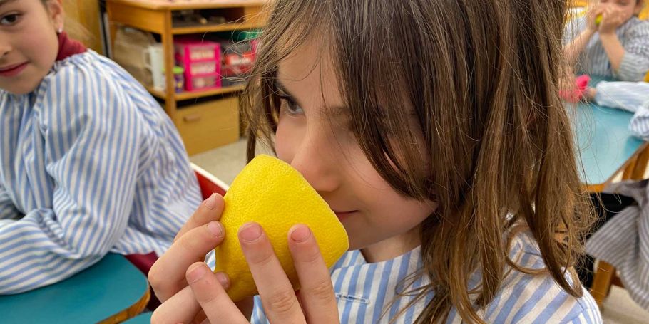 <time datetime="2023-04-26T16:20:36+00:00">26 de abril de 2023</time> | <a href="https://www.escola-horitzo.cat/author/kike/">Super User</a> | <a href="https://www.escola-horitzo.cat/category/el-dia-a-dia/" rel="tag">El dia a dia</a> | <a href="https://www.escola-horitzo.cat/2023/04/26/si-tenim-llimones-fem/#respond">No hay comentarios<span class="screen-reader-text"> en Si tenim llimones fem…</span></a>