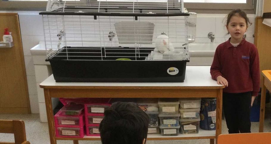 <time datetime="2021-04-16T07:28:08+00:00">16 de abril de 2021</time> | <a href="https://www.escola-horitzo.cat/author/kike/">Super User</a> | <a href="https://www.escola-horitzo.cat/category/el-dia-a-dia/" rel="tag">El dia a dia</a> | <a href="https://www.escola-horitzo.cat/2021/04/16/tenim-cura-dels-nostres-animalons/#respond">No hay comentarios<span class="screen-reader-text"> en Tenim cura dels nostres animalons</span></a>