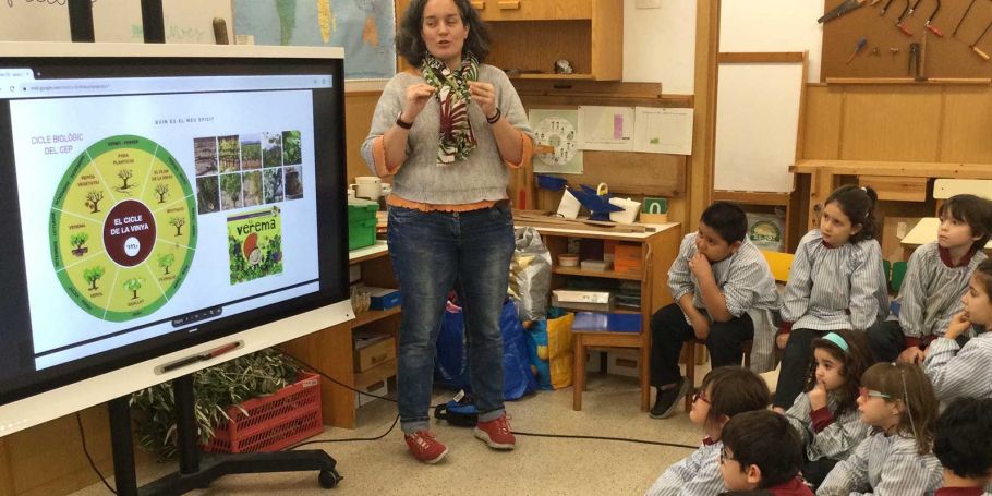 <time datetime="2025-01-15T17:27:27+00:00">15 de enero de 2025</time> | <a href="https://www.escola-horitzo.cat/author/kike/">Super User</a> | <a href="https://www.escola-horitzo.cat/category/el-dia-a-dia/" rel="tag">El dia a dia</a> | <a href="https://www.escola-horitzo.cat/2025/01/15/lofici-de-sommelier/#respond">No hay comentarios<span class="screen-reader-text"> en L’ofici de sommelier</span></a>