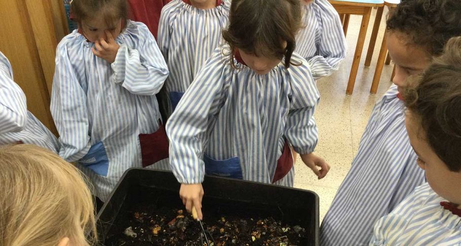 <time datetime="2022-10-17T15:25:14+00:00">17 de octubre de 2022</time> | <a href="https://www.escola-horitzo.cat/author/kike/">Super User</a> | <a href="https://www.escola-horitzo.cat/category/el-dia-a-dia/" rel="tag">El dia a dia</a> | <a href="https://www.escola-horitzo.cat/2022/10/17/el-vermicompostador-2/#respond">No hay comentarios<span class="screen-reader-text"> en El vermicompostador</span></a>