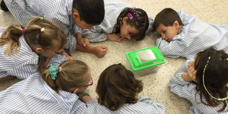 <time datetime="2024-09-25T14:43:48+00:00">25 de septiembre de 2024</time> | <a href="https://www.escola-horitzo.cat/author/kike/">Super User</a> | <a href="https://www.escola-horitzo.cat/category/el-dia-a-dia/" rel="tag">El dia a dia</a> | <a href="https://www.escola-horitzo.cat/2024/09/25/aprendre-de-lletra/#respond">No hay comentarios<span class="screen-reader-text"> en Aprendre de lletra!</span></a>