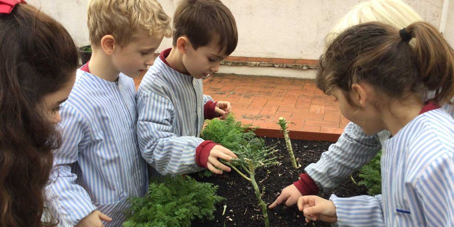 <time datetime="2026-01-26T16:56:48+00:00">26 de enero de 2026</time> | <a href="https://www.escola-horitzo.cat/author/kike/">Super User</a> | <a href="https://www.escola-horitzo.cat/category/el-dia-a-dia/" rel="tag">El dia a dia</a>