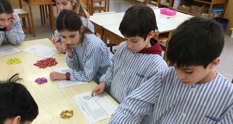 <time datetime="2020-01-10T14:54:10+00:00">10 de enero de 2020</time> | <a href="https://www.escola-horitzo.cat/author/kike/">Super User</a> | <a href="https://www.escola-horitzo.cat/category/el-dia-a-dia/" rel="tag">El dia a dia</a> | <a href="https://www.escola-horitzo.cat/2020/01/10/la-calvalcada/#respond">No hay comentarios<span class="screen-reader-text"> en La cavalcada</span></a>