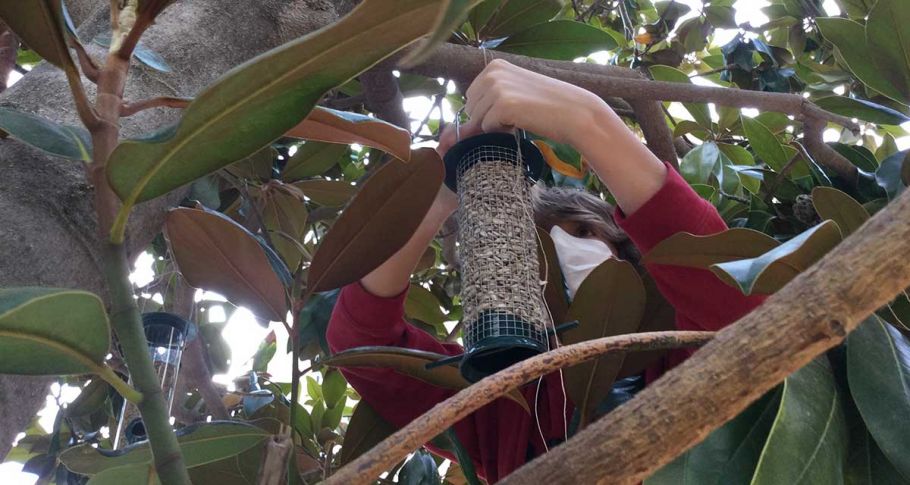 <time datetime="2021-01-13T15:43:37+00:00">13 de enero de 2021</time> | <a href="https://www.escola-horitzo.cat/author/kike/">Super User</a> | <a href="https://www.escola-horitzo.cat/category/el-dia-a-dia/" rel="tag">El dia a dia</a> | <a href="https://www.escola-horitzo.cat/2021/01/13/menjadores-pels-ocells/#respond">No hay comentarios<span class="screen-reader-text"> en Menjadores pels ocells</span></a>