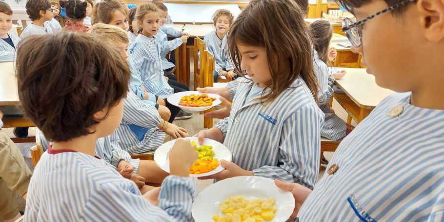 <time datetime="2024-10-01T09:23:18+00:00">1 de octubre de 2024</time> | <a href="https://www.escola-horitzo.cat/author/kike/">Super User</a> | <a href="https://www.escola-horitzo.cat/category/el-dia-a-dia/" rel="tag">El dia a dia</a> | <a href="https://www.escola-horitzo.cat/2024/10/01/de-quin-color-es-la-pastanaga-mes-gustosa/#respond">No hay comentarios<span class="screen-reader-text"> en De quin color és la pastanaga més gustosa?</span></a>