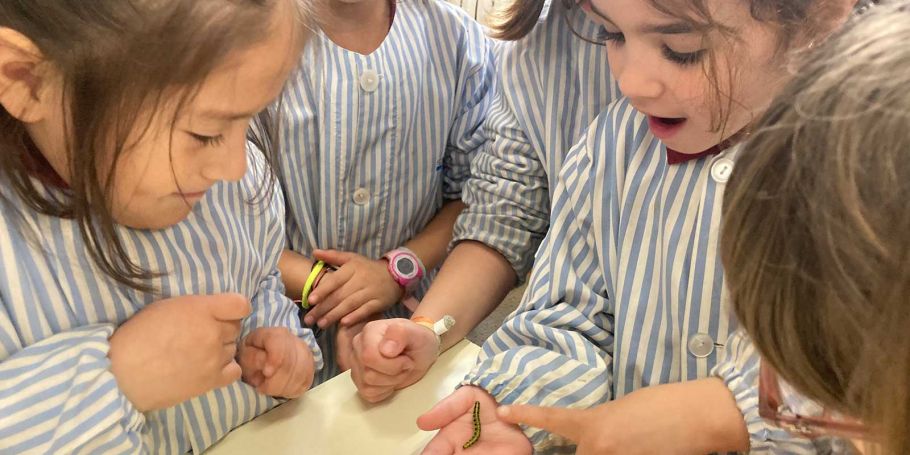 <time datetime="2025-02-25T12:03:07+00:00">25 de febrero de 2025</time> | <a href="https://www.escola-horitzo.cat/author/kike/">Super User</a> | <a href="https://www.escola-horitzo.cat/category/el-dia-a-dia/" rel="tag">El dia a dia</a>