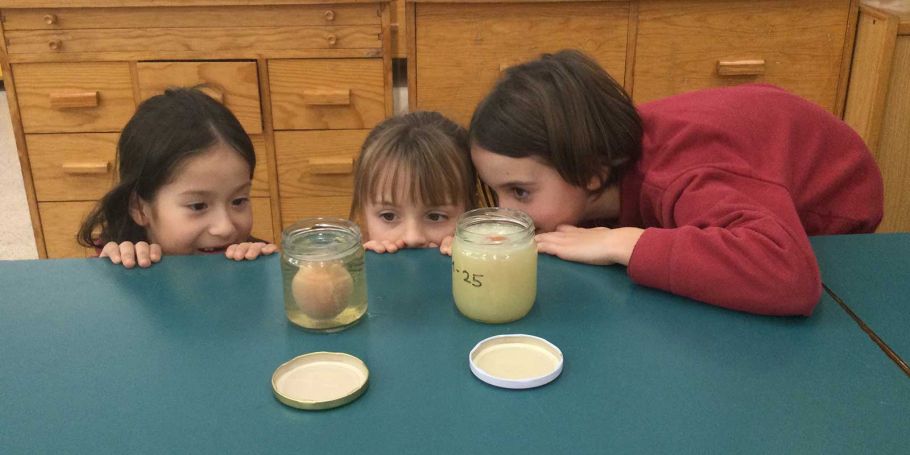 <time datetime="2025-02-05T05:40:23+00:00">5 de febrero de 2025</time> | <a href="https://www.escola-horitzo.cat/author/kike/">Super User</a> | <a href="https://www.escola-horitzo.cat/category/el-dia-a-dia/" rel="tag">El dia a dia</a> | <a href="https://www.escola-horitzo.cat/2025/02/05/la-curiositat-2/#respond">No hay comentarios<span class="screen-reader-text"> en La curiositat!</span></a>