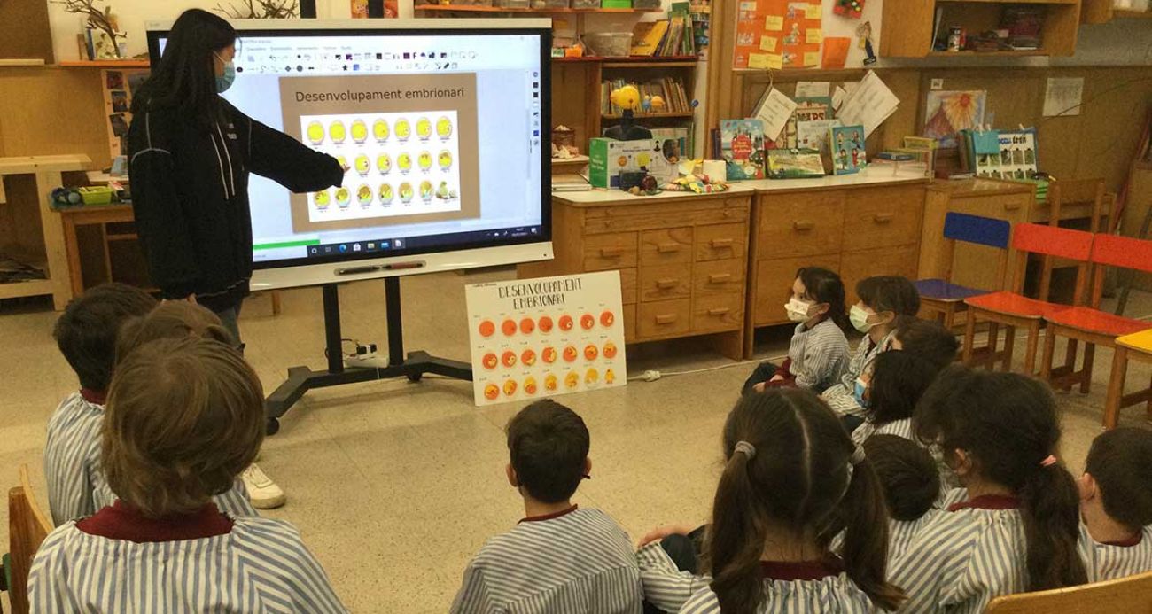 Hem tingut molta sort!