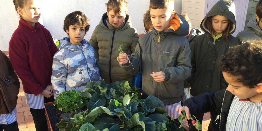 <time datetime="2024-01-08T17:17:17+00:00">8 de enero de 2024</time> | <a href="https://www.escola-horitzo.cat/author/kike/">Super User</a> | <a href="https://www.escola-horitzo.cat/category/el-dia-a-dia/" rel="tag">El dia a dia</a>