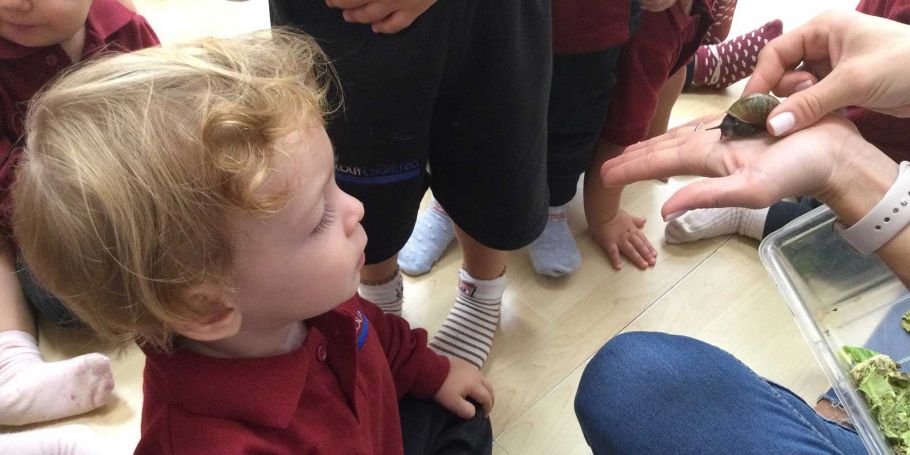 <time datetime="2023-11-13T16:04:32+00:00">13 de noviembre de 2023</time> | <a href="https://www.escola-horitzo.cat/author/kike/">Super User</a> | <a href="https://www.escola-horitzo.cat/category/el-dia-a-dia/" rel="tag">El dia a dia</a> | <a href="https://www.escola-horitzo.cat/2023/11/13/descobrim-amb-emocio/#respond">No hay comentarios<span class="screen-reader-text"> en Descobrim amb emoció</span></a>