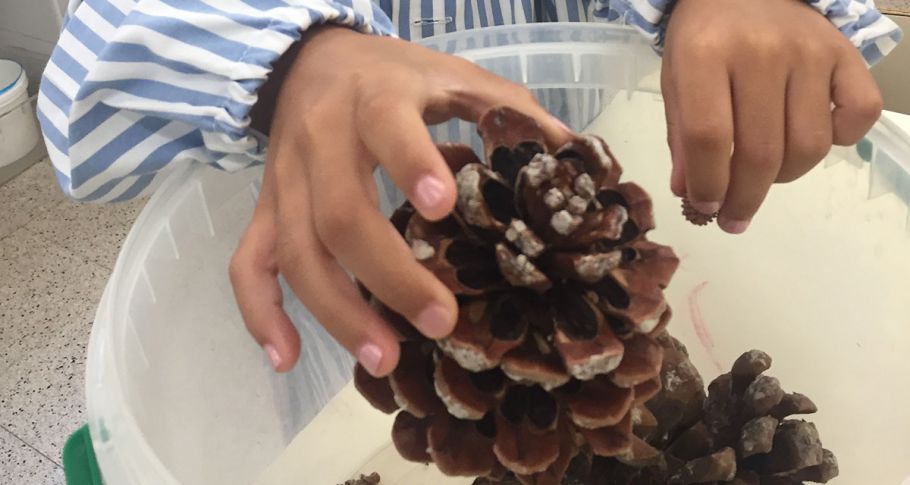 <time datetime="2018-09-30T16:16:22+00:00">30 de septiembre de 2018</time> | <a href="https://www.escola-horitzo.cat/author/kike/">Super User</a> | <a href="https://www.escola-horitzo.cat/category/el-dia-a-dia/" rel="tag">El dia a dia</a> | <a href="https://www.escola-horitzo.cat/2018/09/30/experimentant-com-les-pinyes-protegeixen-les-seves-llavors/#respond">No hay comentarios<span class="screen-reader-text"> en Experimentant com les pinyes protegeixen les seves llavors</span></a>