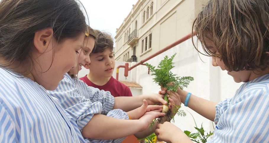 <time datetime="2022-05-18T15:35:13+00:00">18 de mayo de 2022</time> | <a href="https://www.escola-horitzo.cat/author/kike/">Super User</a> | <a href="https://www.escola-horitzo.cat/category/el-dia-a-dia/" rel="tag">El dia a dia</a> | <a href="https://www.escola-horitzo.cat/2022/05/18/es-l-hora-de-collir-els-fruits/#respond">No hay comentarios<span class="screen-reader-text"> en És l’hora de collir els fruits!</span></a>