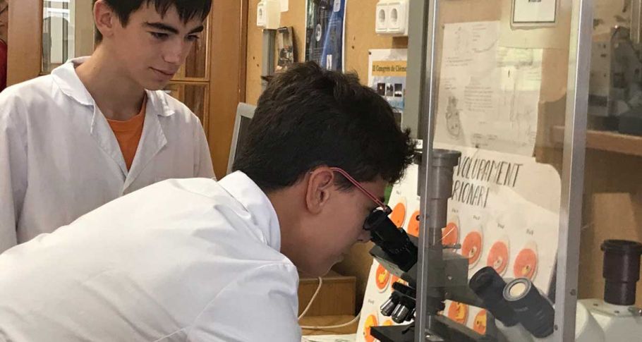 <time datetime="2022-10-11T09:53:00+00:00">11 de octubre de 2022</time> | <a href="https://www.escola-horitzo.cat/author/kike/">Super User</a> | <a href="https://www.escola-horitzo.cat/category/el-dia-a-dia/" rel="tag">El dia a dia</a> | <a href="https://www.escola-horitzo.cat/2022/10/11/fent-ciencia/#respond">No hay comentarios<span class="screen-reader-text"> en Fent ciència</span></a>