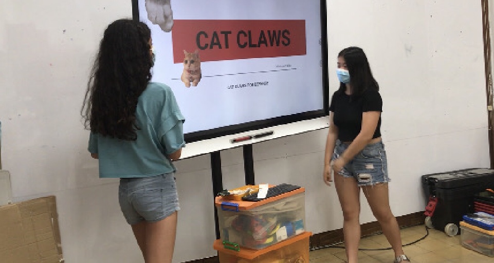 Project Presentation
