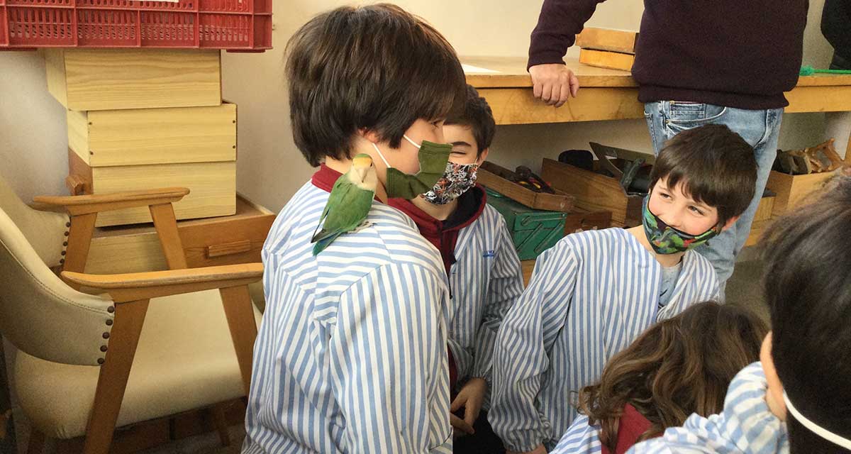 Projecte STEAM